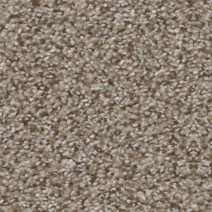 Timeless Carpet Swatch