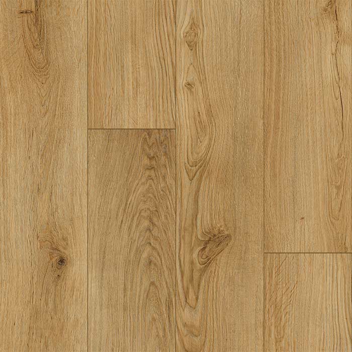 Congaree Waterproof Flooring Swatch