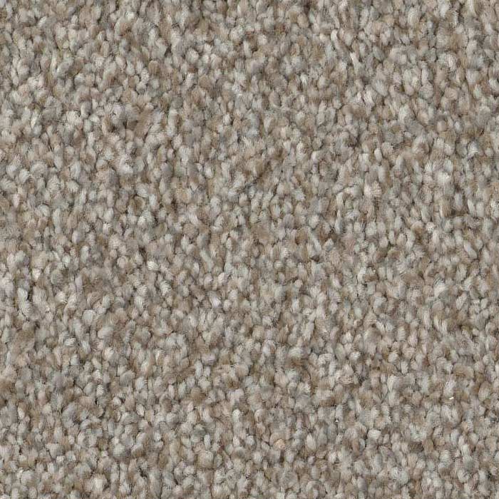 Conservative Carpet Swatch and Room Scene