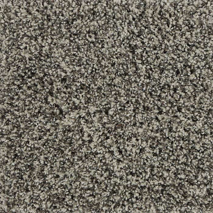 Enchanting Carpet Swatch and Room Scene