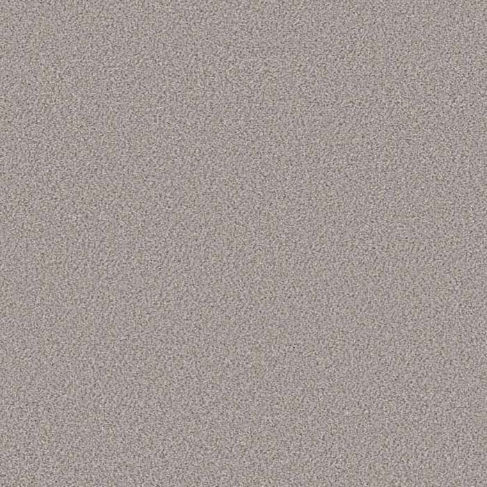 Gallery Carpet Swatch and Room Scene
