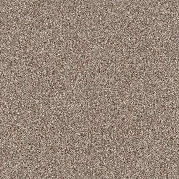 Paraffin Carpet Swatch and Room Scene