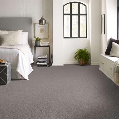 Stainless carpet room scene