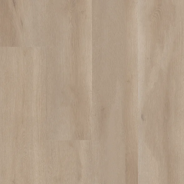 Coastal Drift Swatch and Room Scene