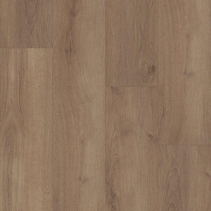 Sandy Brown Swatch and Room Scene